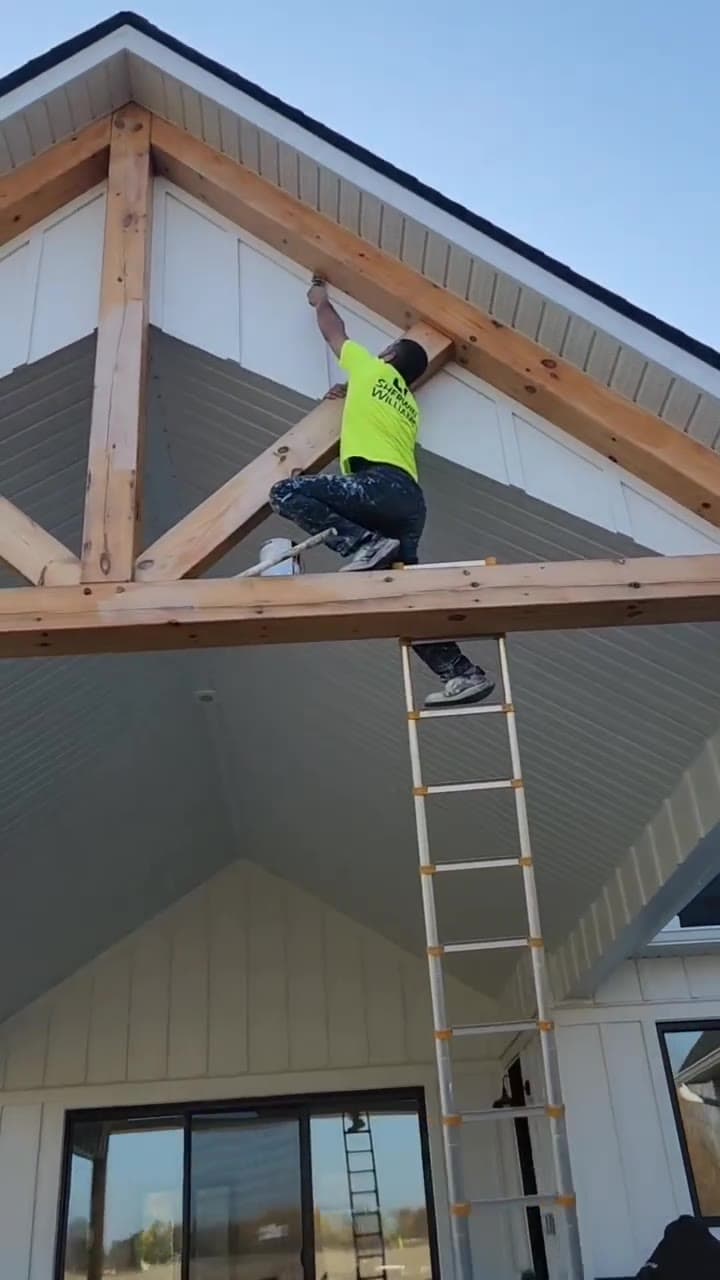 Pawmir painter on a ladder staining timber trusses